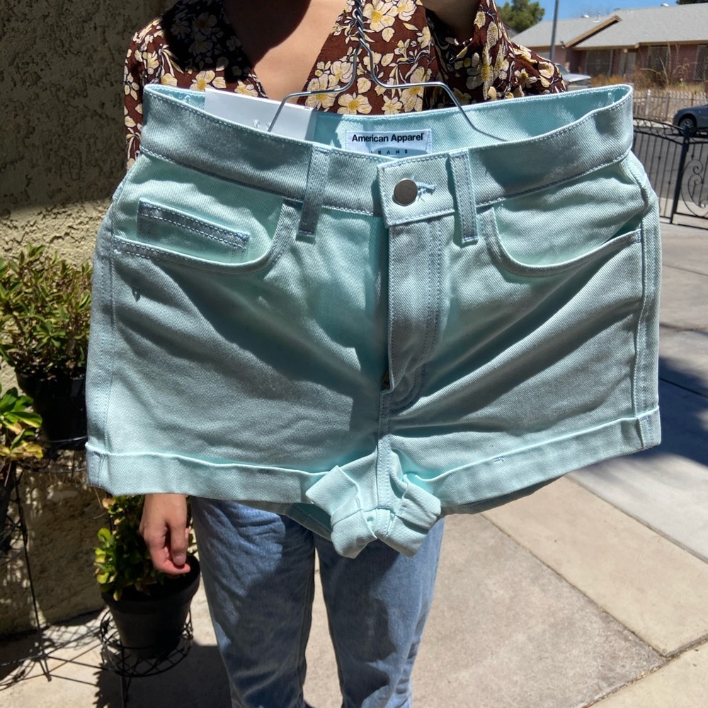Mint American Apparel High Waisted Shorts